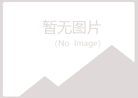 阳江紫山材料有限公司